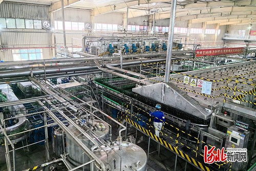 激發(fā)消費(fèi)新活力 品質(zhì)體驗(yàn)燕趙行 活動(dòng) 第二站走進(jìn)滄州