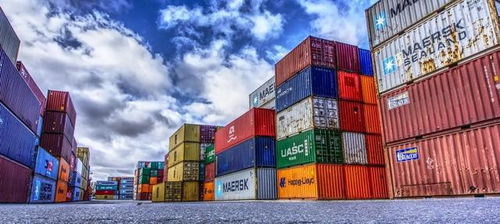 禁令升級 多國明確禁中國這類材料 被扣押的集裝箱多數來自我國