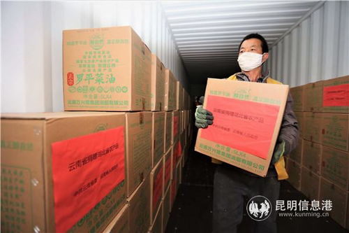 云南開(kāi)行農(nóng)產(chǎn)品集裝箱專列對(duì)口馳援湖北咸寧