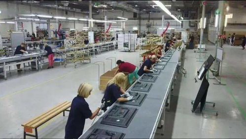 成都青白江 以開放產(chǎn)業(yè)為核心，推動(dòng)集裝箱購銷高質(zhì)量發(fā)展